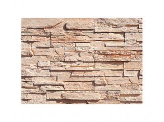 �к�:�����ȷϿ�¤�� ������å� �����å���å����ȡ��� �ե�åȥ����� SLS-230(43531AWC)