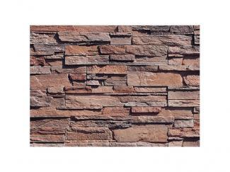 �к�:�����ȷϿ�¤�� ������å� �����å���å����ȡ��� �ե�åȥ����� SLS-420(43532AWC)