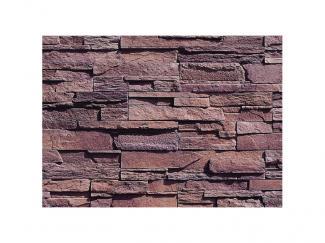 �к�:�����ȷϿ�¤�� ������å� �����å���å����ȡ��� �ե�åȥ����� SLS-450(43533AWC)