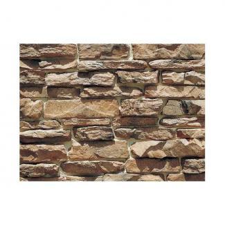 �к�:�����ȷϿ�¤�� ������å� ���å����ȡ��� �ե�åȥ����� ES-40(43553AWC)