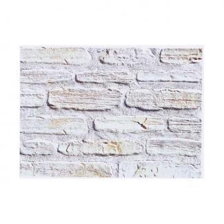 �к�:�����ȷϿ�¤�� ������å� �ȥ쥤�����å� �ե�åȥ����� TR-120(43599AWC)