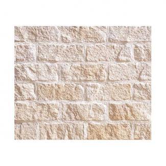 �к�:�����ȷϿ�¤�� ������å� ������륹�ȡ��� �ե�åȥ����� CS-290(43606AWC)