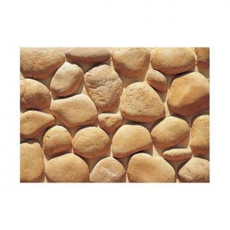 �к�:�����ȷϿ�¤�� ������å� ��С����å� �ե�åȥ����� RR-31(43621AWC)