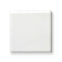 ʪ 100mm ξ̼ ĥʤ(100F) (45164TPC)