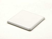ʪ 100mm ξ̼ ĥʤ(100F) (45164TPC)