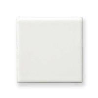 ʪ 100mm ̼ ĥ䤢꥿(100F) (45169TPC)