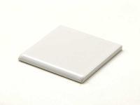 ʪ 100mm ̼ ĥ䤢꥿(100F) (45169TPC)