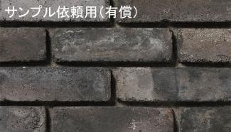 ��󥬡������ǥ˥�:�ڥ���ץ��� ͭ������� ���饤����� ������ ��  ��¦�Τ�(45510XXX)