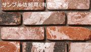 ڥץ ͭ 饤 ꥯ饤ɥå  ¦Τ (45518XXX)
