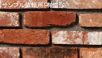 ڥץ ͭ 饤 ơɥ  ¦Τ (45520XXX)
