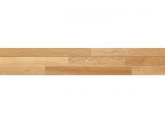 �ե������:ī�����åɥƥå� �饤�֥ʥ����� �ץ�ߥ���(�֥�å���) (������ N-45��) PMT3KJ05BS(45570KTK)