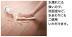 �ե������:������� ���ܤμ���� (��) YP76-NSK(46300KTK)