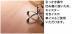 ե: ߥ顼 (ӡ饤) YP62-21(46320KTK)