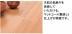 �ե������:������� �����������å� (�֥饦��) YP68-35(46323KTK)