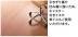 ե: ϥԥե6T١å顼 (饤ȥ) YN7501-MA(46447KTK)