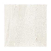 �ꥯ����(INAX) �������� ����ǥ����� �Х���� 1000��ʿ GR-1000/BAS-1 (46731LIX)