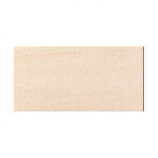 �֥��ɥ�����:�ꥯ����(INAX) �������� �����ѡ����쥤�� ����ɥ��쥤�� 600��300mm��ʿ IPF-630/SDG-2(47043LIX)