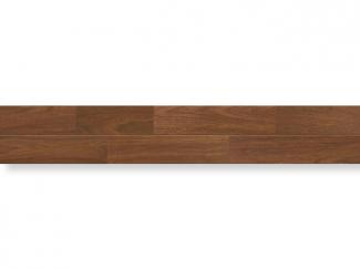 �ե������:���绺�� �ü����̡��ǥ������쥯����� (�֥�å���������ʥå�) MNNK-WALC(47255KTK)