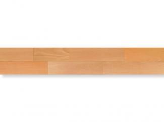 �ե������:���绺�� �ե����륰�쥤��ե����ҥ��ꥹ����P������ (�饤�ȥӡ�����) FGNC-LB/X(47329KTK)