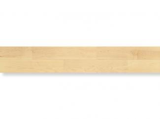 ե:īåɥƥå 饤֥ʥ nendo ȥ꡼ (ϡɥᥤץ) wide PDTAWKJ17S(48601KTK)