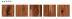 ե:īåɥƥå 饤֥ʥ ץߥ RUSTIC ­ (֥åʥå)  PBTAWDS02R(48618KTK)
