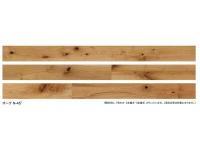 īåɥƥå 饤֥ʥ ץߥ RUSTIC ­ ( N-45)  PBTAWDS05R (48619KTK)