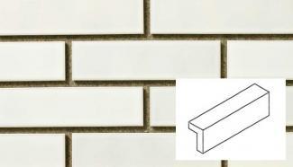 ���ե��������� ���ڥ��ȥ꡼ ����֢����(����) �ۥ磻�ȷ�