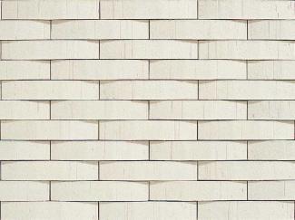 �֥��ɥ�����:���ɥ����� ���륯���������� 227��40mm�������ܡ����� 10(50100KWA)