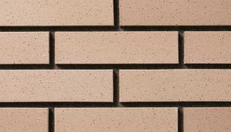 ���ɥ�����:���ɥ����� 227��60mm��ʿ(������) �ե�å��� �١������(50213BRO)