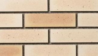 ��󥬡������ǥ˥�:���Ĵ���ɥ����� 227��60mm(������)ʿ �١������(50496RCA)