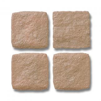 �о��� ���о������� 100��ʿ �١������ 50502RCA:�о��� ���о������� 100��ʿ �١������(50502RCA)