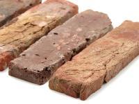 ڥץ ͭ 饤 ɥ󥤥ޥ ¦Τ (50556XXX)