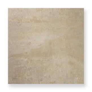 ��¥�����:�ʥ�����Ĵ�������� 502��ʿ �١������ �ں߸˽�ʬ�ʡ�(50865TYK)