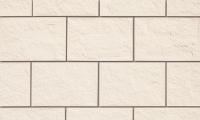 ʪ ѥ륹 90ʤ() 1 (51059KWA)
