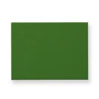 ڥɥ 200150 ץ졼󥿥(VERDE LISO) (51264RBE)