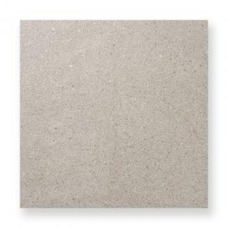 ��600��ʿ�� �ʥ�����Ĵ��������  ���⡼����