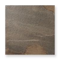 �������ĥ�����Ĵ�������� 600��ʿ ���������졼��(101) �ں߸˽�ʬ�ʡ� (51472TTD)