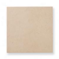 �ʥ�����Ĵ�������� 300��ʿ �饤�ȥ١������(50) �ں߸˽�ʬ�ʡ� (51527TTD)