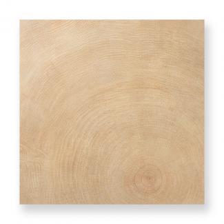 ��¥�����:����Ĵ�������� 600��ʿ �١������(20)(51553KTN)