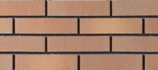 �֥��ɥ�����:�ꥯ����(INAX) ���ɥ����� �п���(�Ҥ�����)�ڤ��  �����ݥ�����(������) FC-2/N4(52063LIX)