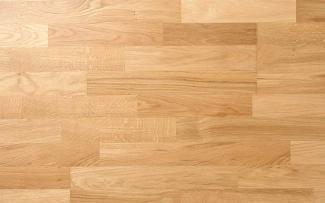 �ե������:������(�ʥ�) �֤������ե������ �ե�å� ��ñ�� UV���ꥢ����������(52208TSN)