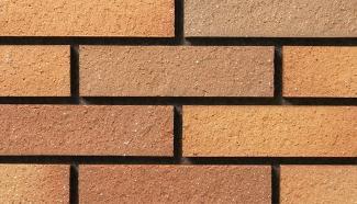 ���ɥ����� 227��60�� �����ݤ� ��ȩ�� �֥饦���(220)