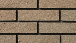 ���ɥ�����:���ɥ����� 227��60�� �����ݤ� ��ȩ�� ���졼��(235)(52259KTN)