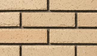 ���ɥ����� 227��60�� �����ݤ� �饤�ȥ١������(180) 52260KTN:���ɥ����� 227��60�� �����ݤ� �饤�ȥ١������(180)(52260KTN)