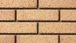 ���ɥ����� 227��60�� �����ݤ� �١������(220)