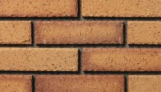 ���ɥ�����:���ɥ����� 227��60�� �����ݤ� �֥饦���(230)(52262KTN)