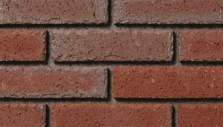 ���ɥ�����:���ɥ����� 227��60�� �����ݤ� ��åɥ֥饦���(260)(52263KTN)