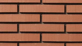 ���ɥ����� 227��40�� �Ѷʷ����ܡ����� �֥饦���(30) 52268KTN:���ɥ����� 227��40�� �Ѷʷ����ܡ����� �֥饦���(30)(52268KTN)