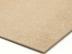 :Ƚɥ 900450ʿ 4.9mm 饤ȥ١ (2) ں߸˽ʬʡ(52434TYK)