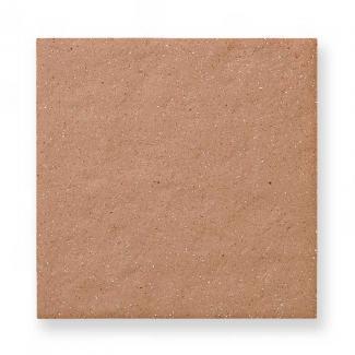 �ƥ饳�å�Ĵ�������� 300��ʿ ��åɥ֥饦���(3)